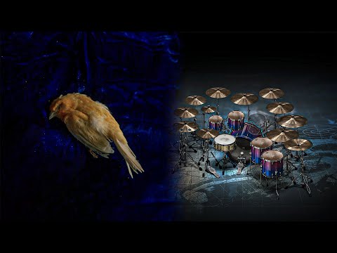 Superior Drummer 3 Preset Bundle for The Progressive Foundry SDX - 18 Presets - Sound Demo Video