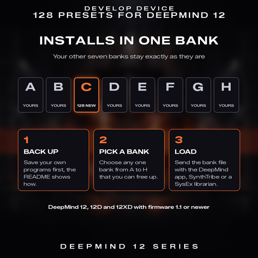 Rust Protocol installs into one bank of the DeepMind 12, the other seven banks stay as they are